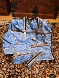 レア 完売品 LeSportsac 犬プリント 4点セット 風間ゆみえ - メルカリ