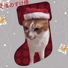 アルビオン エクシア ラディアンスリニュー ローション 35ml×2本