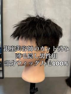 カット済み部分ウィッグ 人毛100% 薄毛隠しのサムネイル
