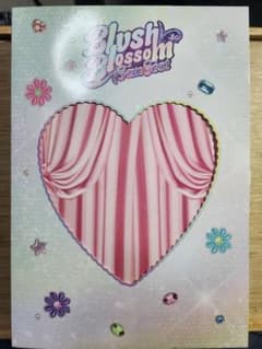 【保存版】BLUSH BLOSSOM FAN FEST '25 DVDフルセットのサムネイル