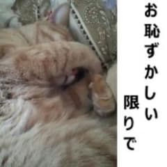 写真のサムネイル