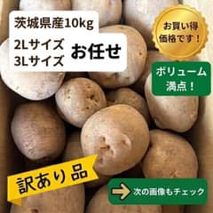 【訳あり品】茨城県産ジャガイモ（大玉）サイズ10kg（品種：お任せ）のサムネイル