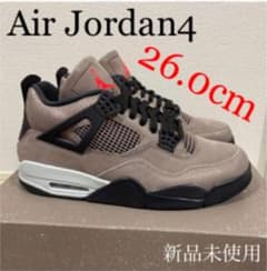 Air Jordan4のサムネイル