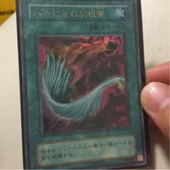 ハーピィの羽根箒のサムネイル