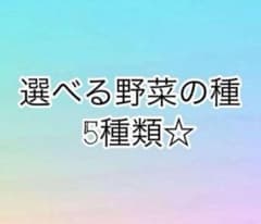 選べる野菜の種5種