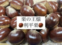 【栗の王様】 利平栗 栃木県産 無農薬 新鮮 900g《9/29夕採れ》のサムネイル