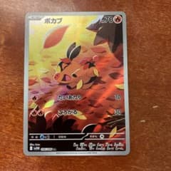 値*ク様 ポカブAR美品のサムネイル
