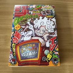 ONE PIECE 19호 TV 애니메이션 특집