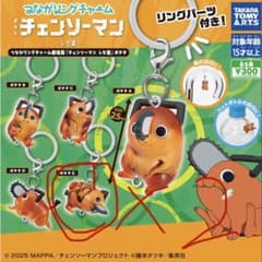 첸소만 포치타 메지루시 액세서리 매력 E 2개 세트