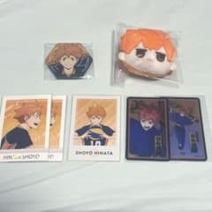 ハイキュー!! 日向翔陽 ぬいぐるみ 缶バッジ ぱしゃこれセット - メルカリ