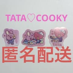 BT21 Pajama Party Sticker Set (3 pieces)