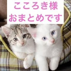 こころき@要プロフ必読♪様 リクエスト 3点 まとめ商品 - メルカリ