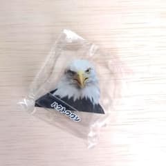 浜松市動物園　アクリルスタンド　ガチャガチャ　ハクトウワシのサムネイル