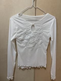 フラワー刺繍 シフォン レイヤード ブラウス Tシャツのサムネイル