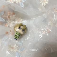 ジョジョの奇妙な冒険 パンナコッタ・フーゴ カプセルトイのサムネイル