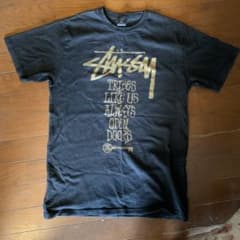 ステゥーシー  Tシャツのサムネイル