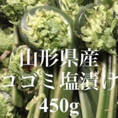 山形県産 コゴミ塩漬け 450g 塩蔵 こごみ 山菜 野菜 - メルカリ