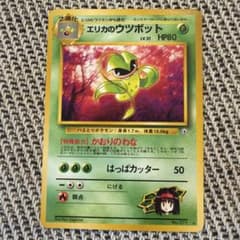 【美品】エリカのウツボット Erika's Victreebel 杉森建　旧裏