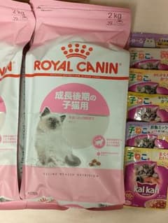 合計4㎏　ロイヤルカナン成長期の子猫用　2㎏×2袋　その他のサムネイル