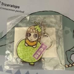 浜崎あゆみ 25thAnniversary ご当地キーホルダー 北海道 - メルカリ