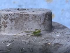 専用のサムネイル