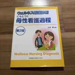 ウェルネス看護診断にもとづく母性看護過程のサムネイル