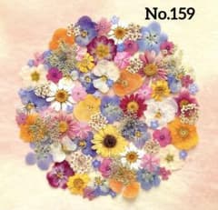 押し花素材　No.159 ワケアリセットのサムネイル