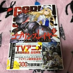 고블린 슬레이어 1