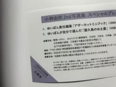 小林由依 写真集 応募券のサムネイル