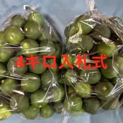ハウススダチ 家庭用 4キロ 入札式 - メルカリ