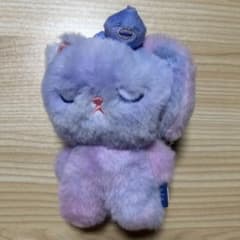 RIIZE ウォンビン トニャンドク ぬいぐるみ midnightmirage - メルカリ