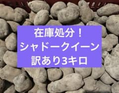 北海道産　訳ありシャドークイーン3キロのサムネイル