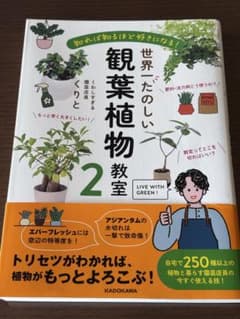 値下げ　観葉植物教室 2 KADOKAWA くりとのサムネイル