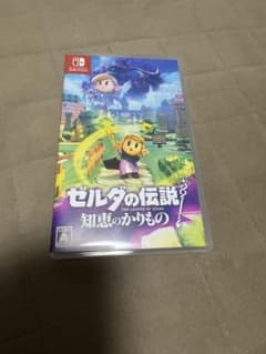 ゼルダの伝説: 知恵のかりもののサムネイル