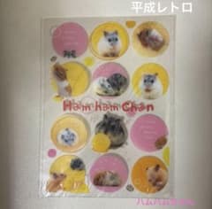 m70803569905_1.jpg?1714564970