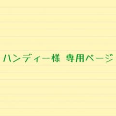ハンディー様 専用ページのサムネイル