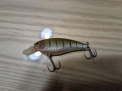 【未使用品】ボトムアップ リズィーのサムネイル