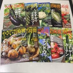 NHK 趣味の園芸「やさいの時間」のサムネイル