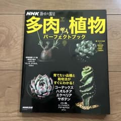 NHK趣味の園芸 多肉植物 パーフェクトブックのサムネイル