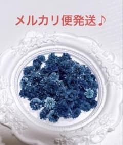かすみ草 ドライフラワー ネイビー系 中〜大粒のサムネイル