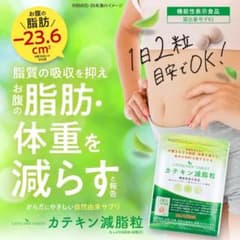 カテキン減脂粒 62粒のサムネイル