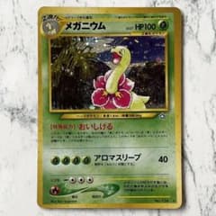 エラーカード　メガニウム　旧裏 旧裏】メガニウム ポケモンカード ポケカ ☆エラーカード 枠ズレ