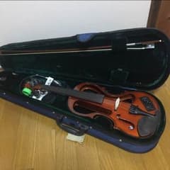 ハルシュタット✸エレキヴァイオリン EV-30/NBRのサムネイル