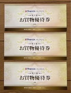 ヤマダ電機 株主優待 11000円分のサムネイル