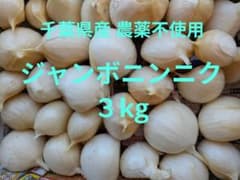 千葉県産 ジャンボニンニク3kg栽培期間中農薬不使用 - メルカリ