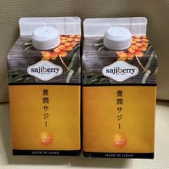 フィネス　豊潤サジー　300ml 2本　賞味期限2025年12月3日　即日発送のサムネイル