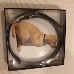 coach 首輪のサムネイル