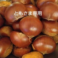 ともさま専用　ご予約丹波栗　１kgのサムネイル
