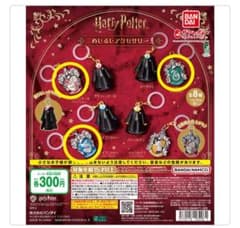 ハリーポッター　めじるしアクセサリーのサムネイル