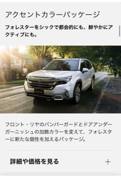 フォレスターsl アクセントカラーパッケージ シルバーガーニッシュ 